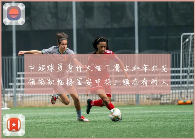 中超球员身价大幅下滑古加布尔克领衔跌幅榜国安申花三镇各有两人上榜